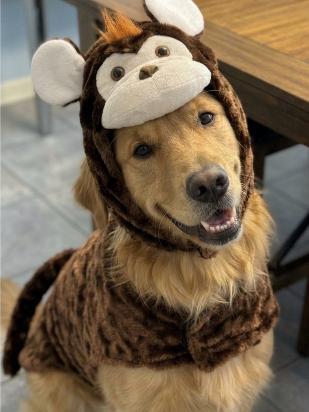 Plush Brown Monkey Dog Costume - Pet Dress-Up Hat and Body